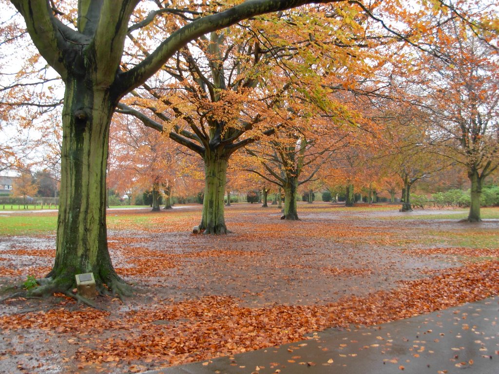 Memorial park Coventry