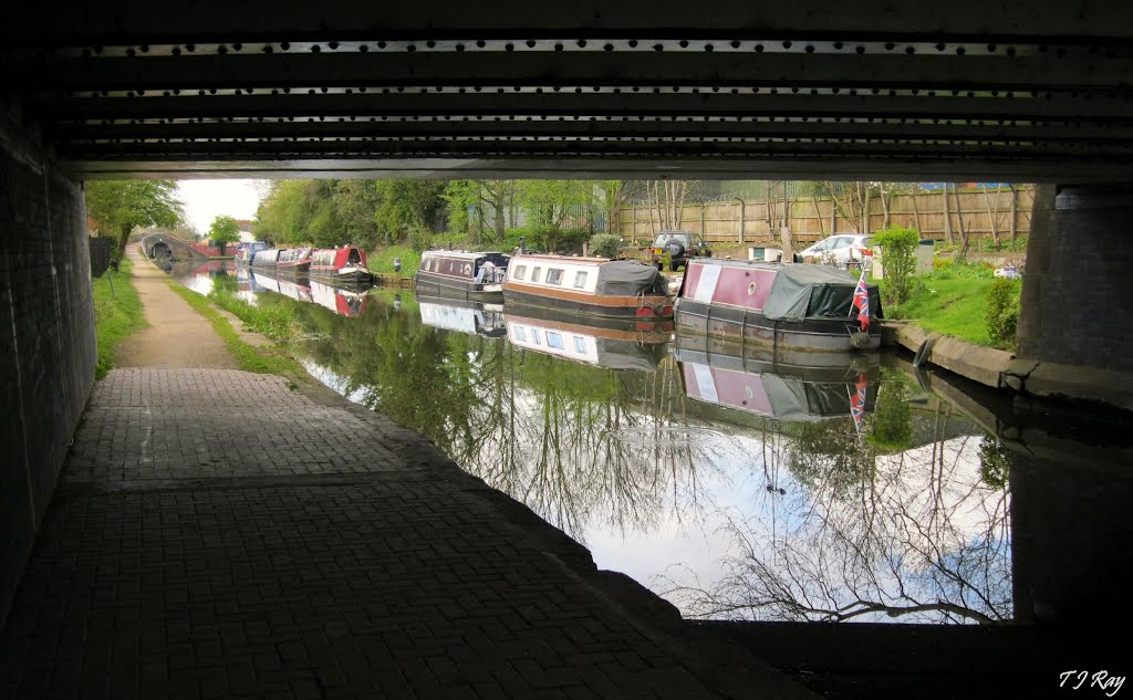 Coventry Canal-looking Towards Swan Lane Wharf