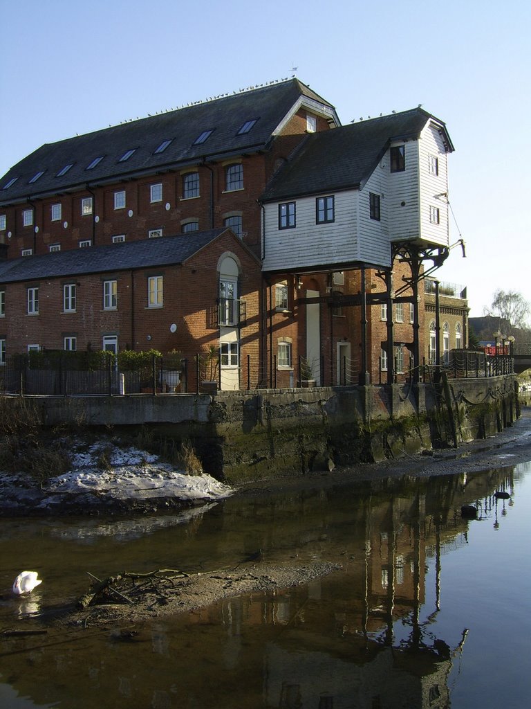 The Mill and River Colne