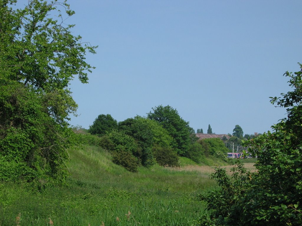 Looking east. 8th June 2006