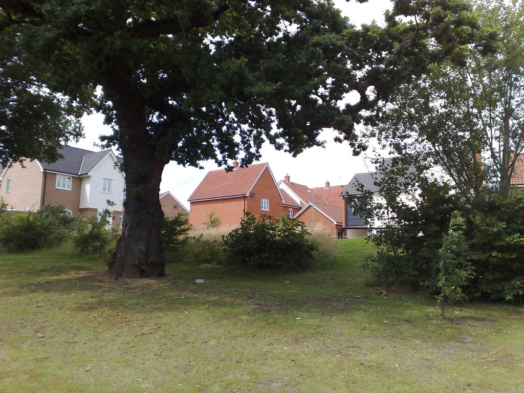 Looking North towards Cranborne Close