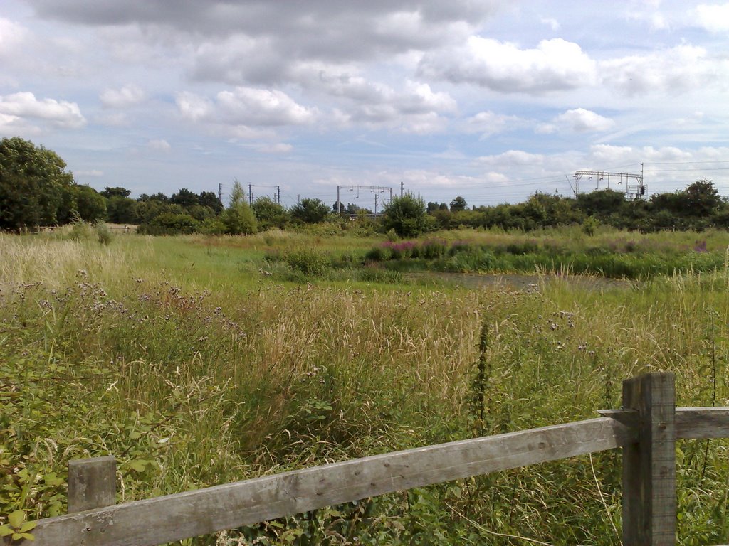 Looking over the corner of Highwoods Park
