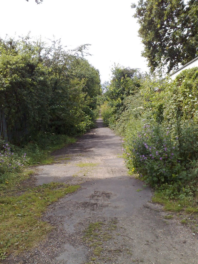 Looking West