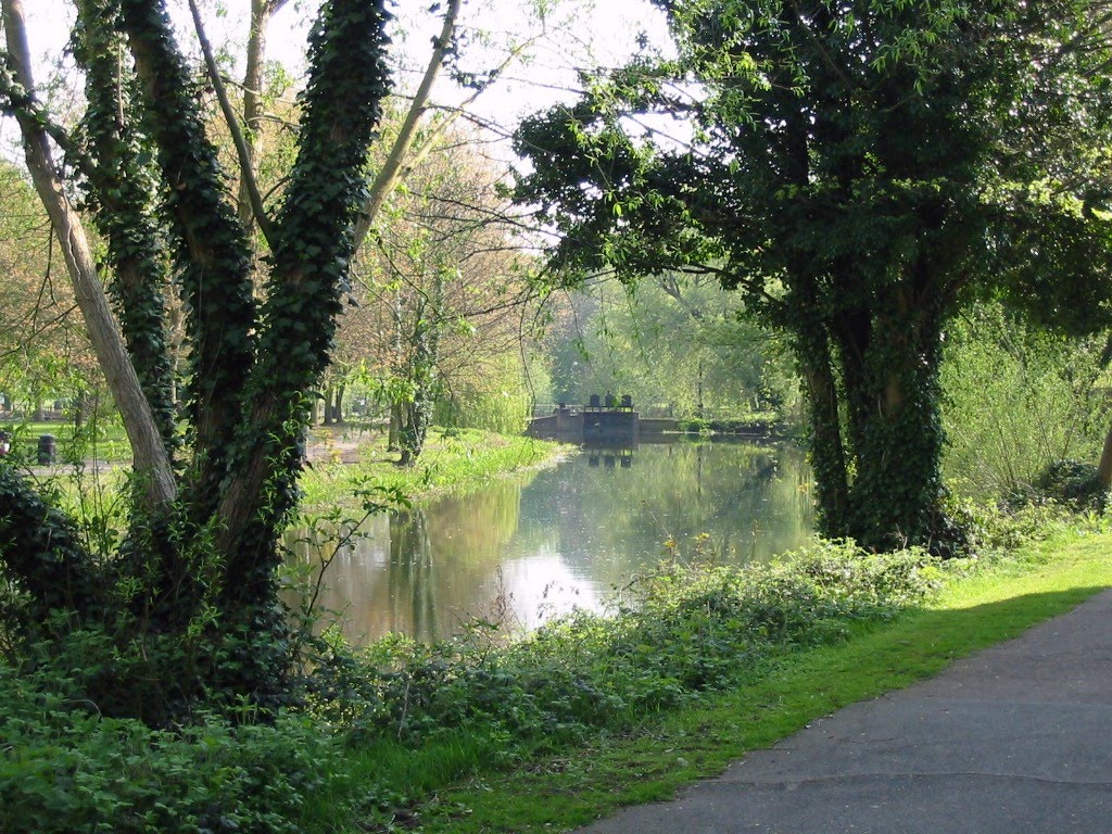 Dedham