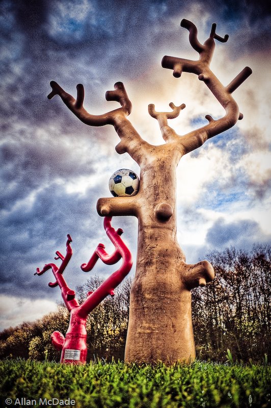 Steel Trees.