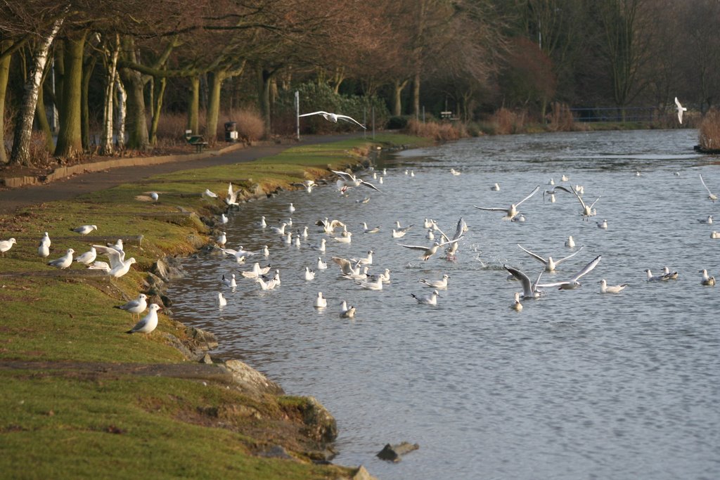 Corby Boating Lake