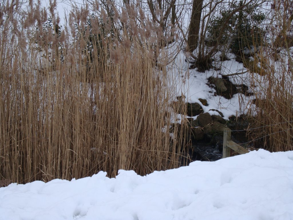 Oakley Vale - lakes