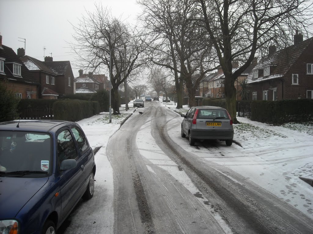 corby