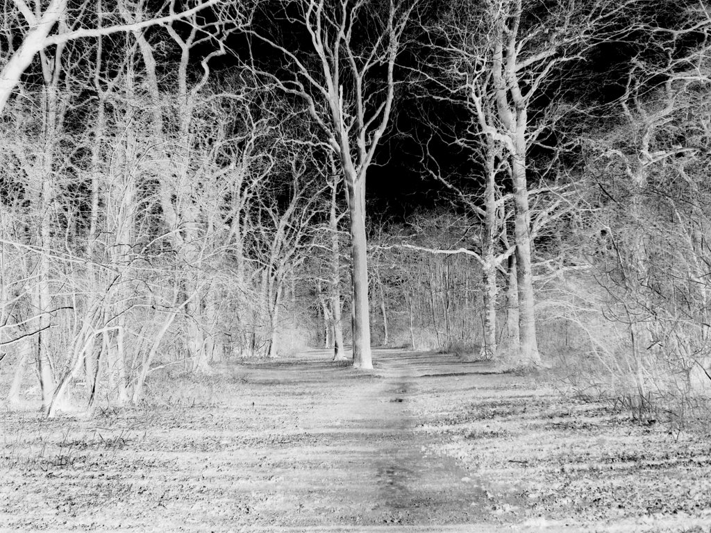 thoroughsale woods in corby