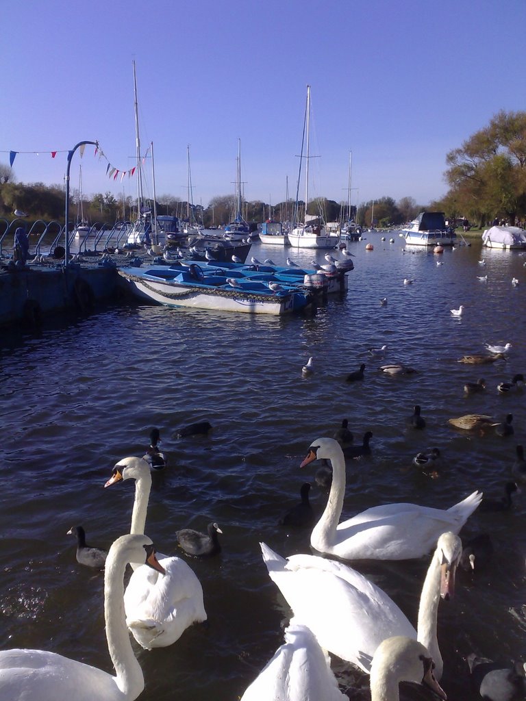 River at Christchurch