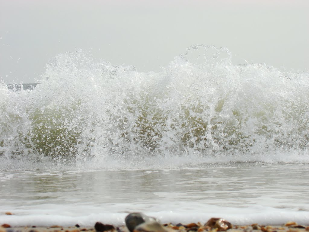 wave