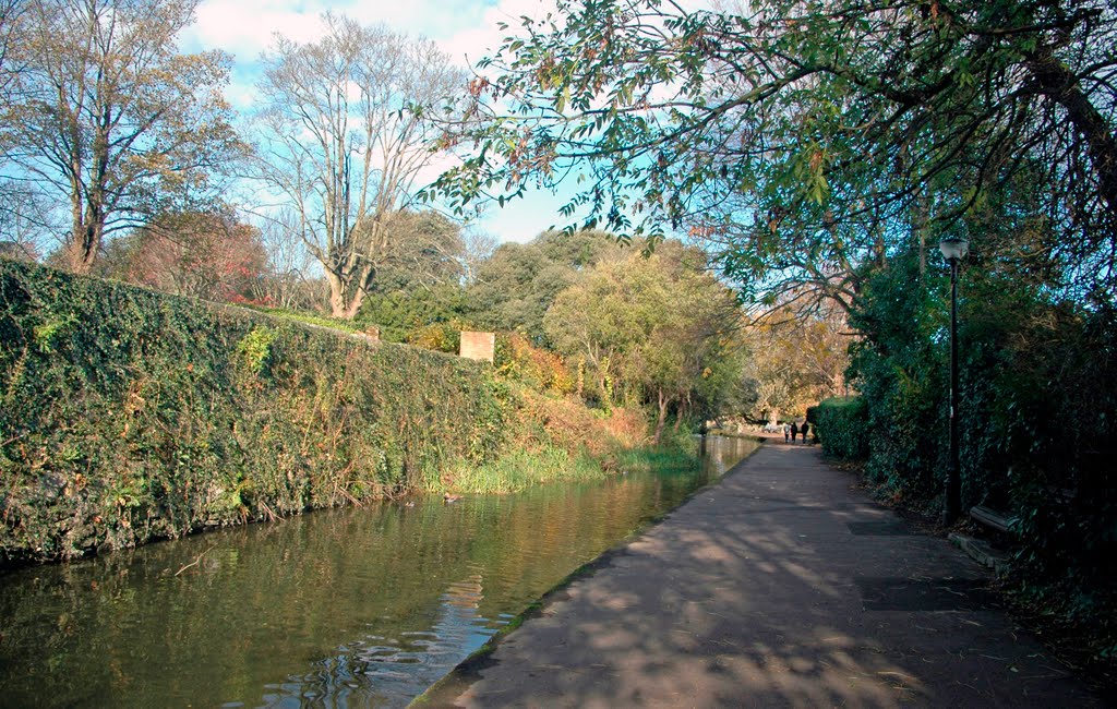 Walk between Christchurch Priory and River Avon