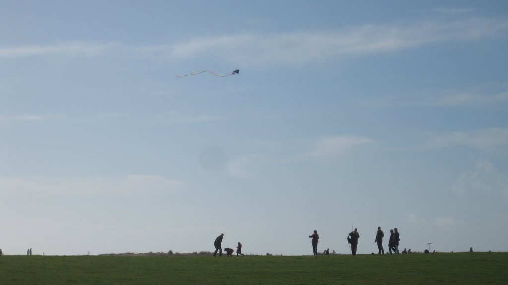 Kite flying at Hengistbury Head