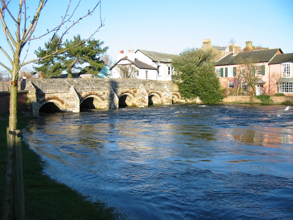 Avon in flood