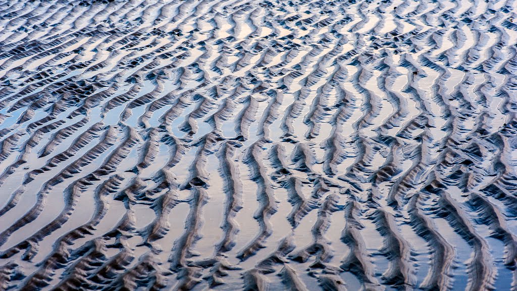 Beach Sands