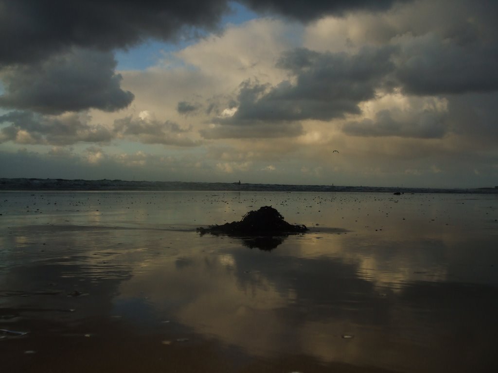 Winter Weather.....Reflections!