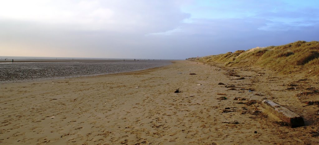 Driftwood on Crosby beach