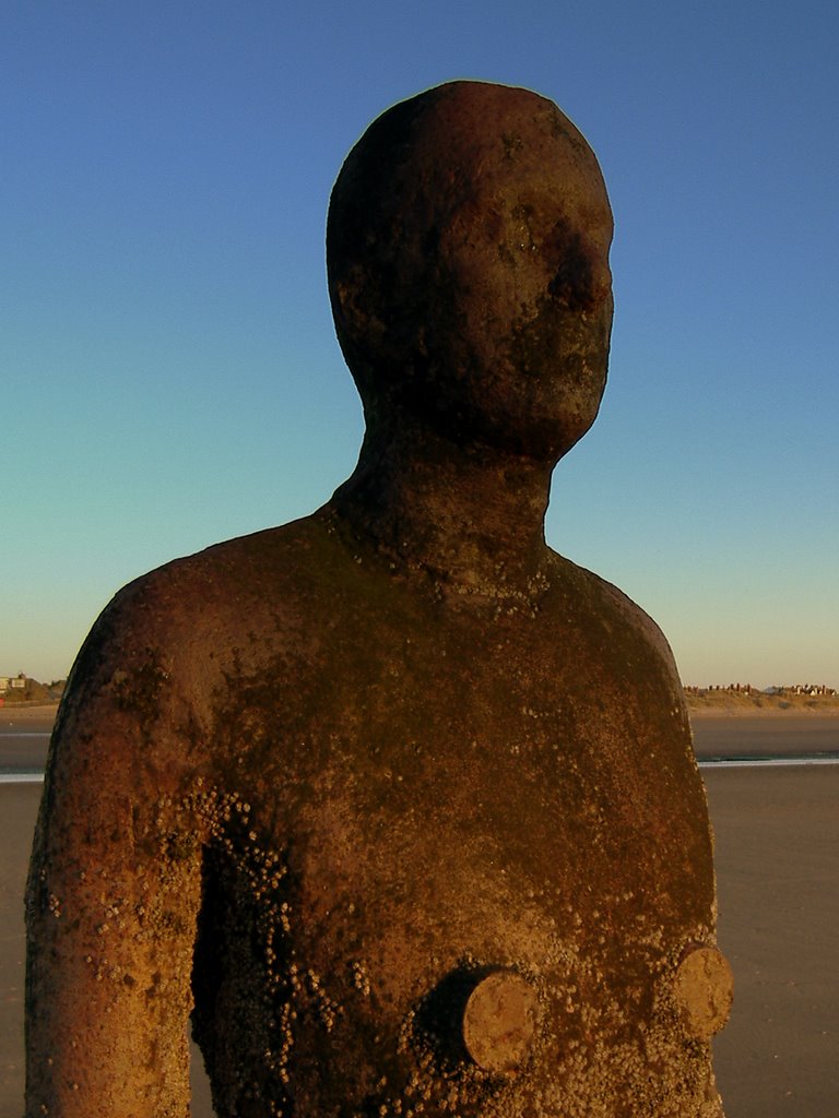 Low Tide And The Illuminated Man!