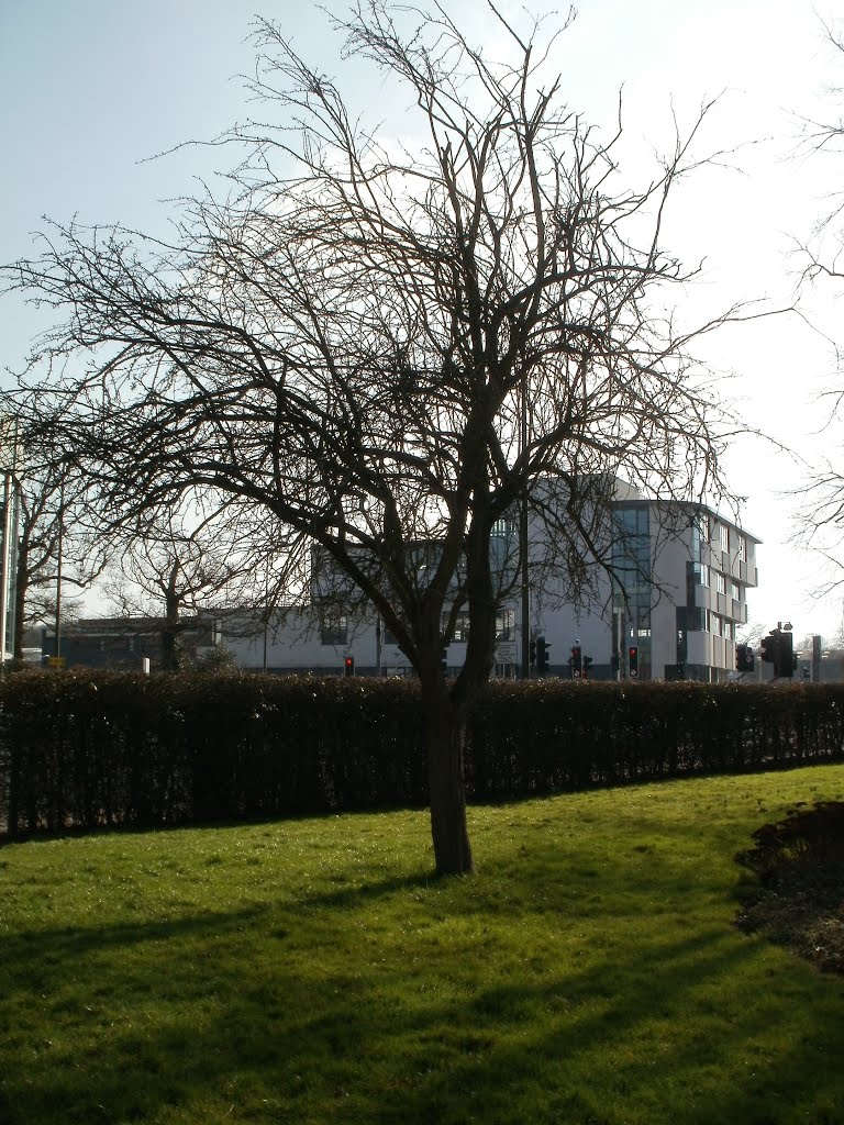 Crawley Memorial Park