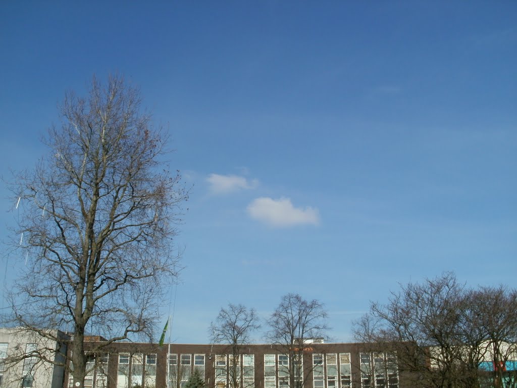 Crawley Memorial Park
