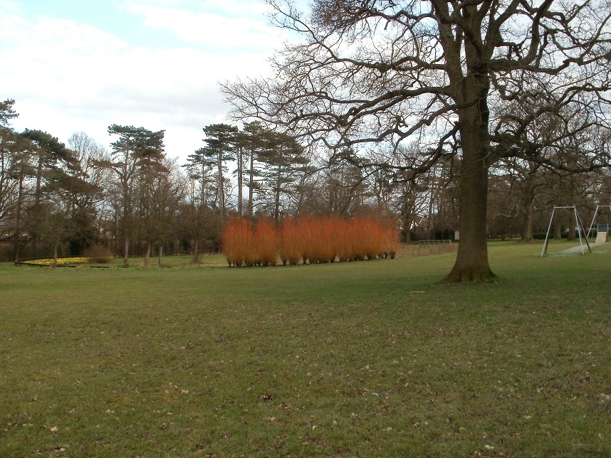 Goffs Park