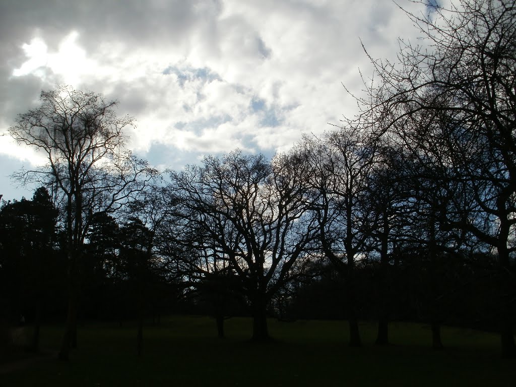 Goffs Park