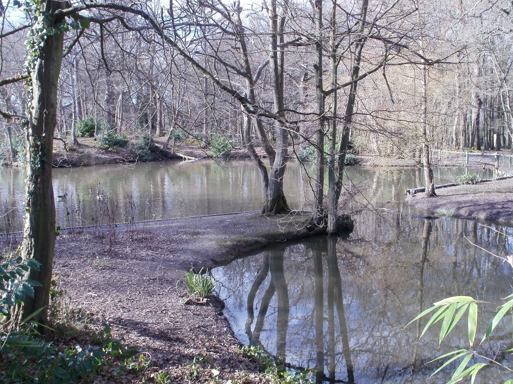 Goffs Park