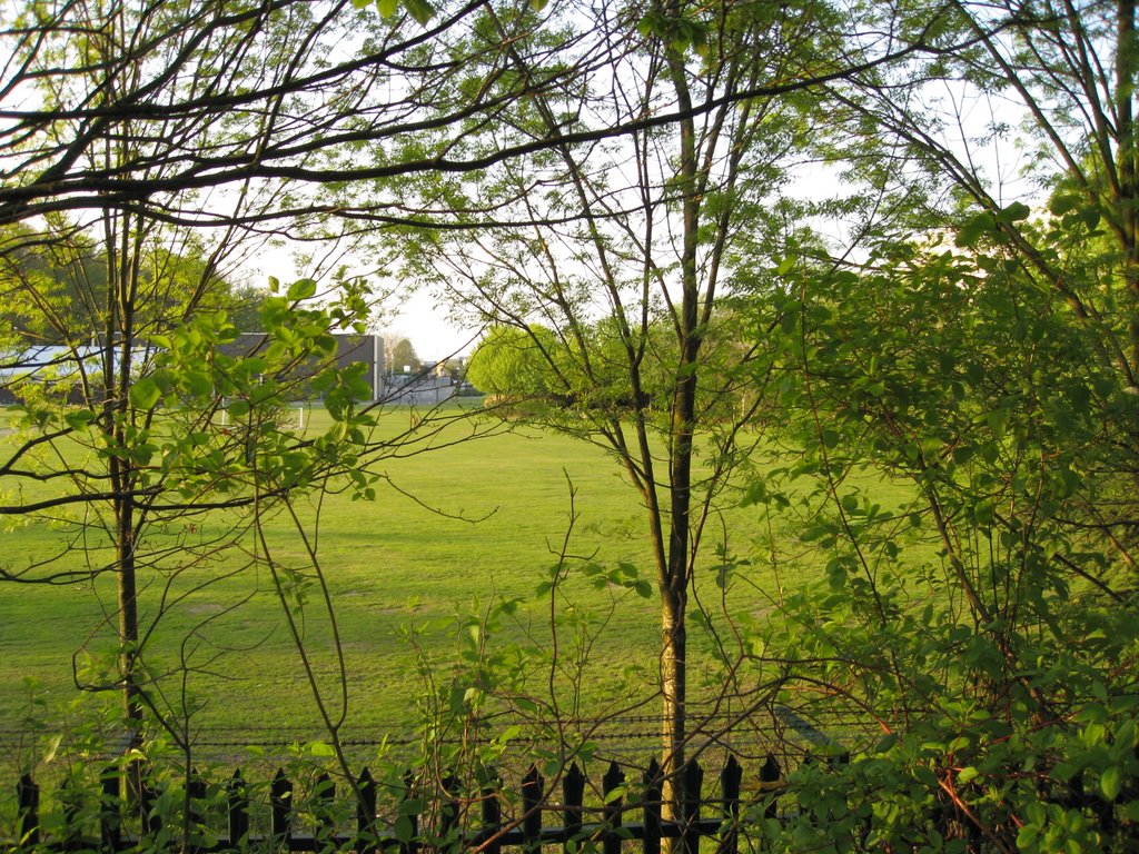Crawley 07