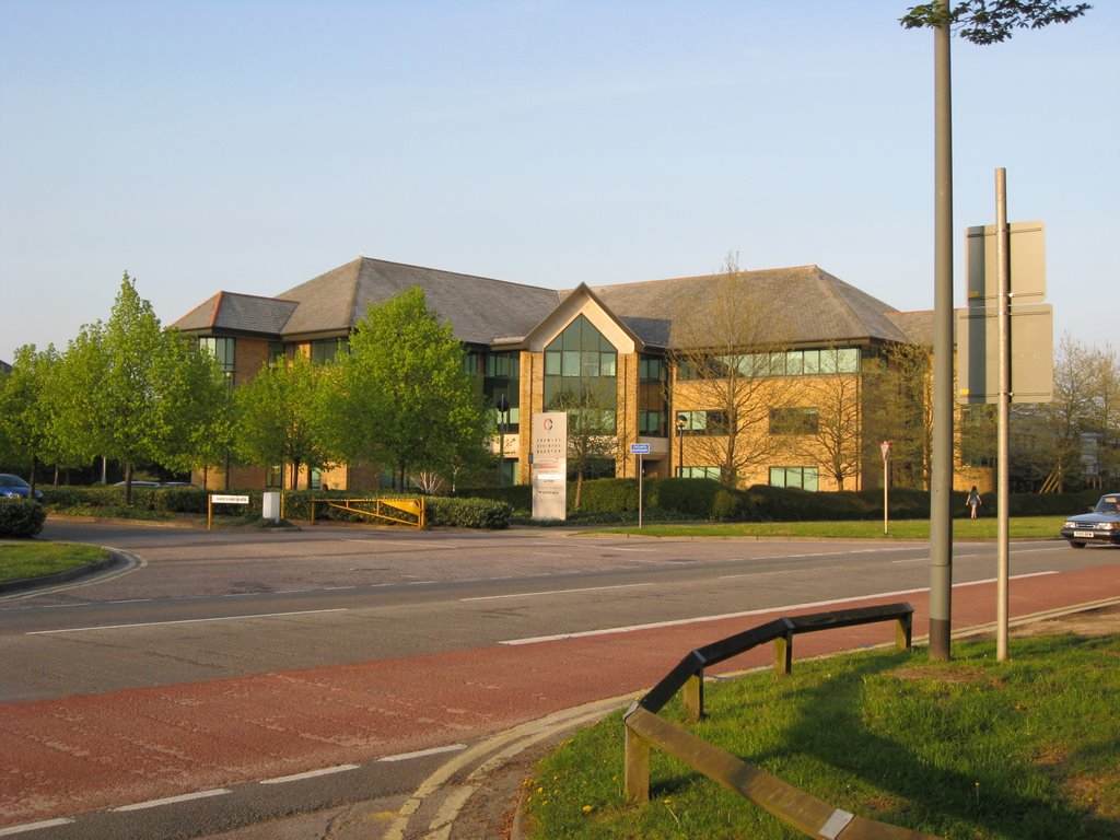 Crawley 15