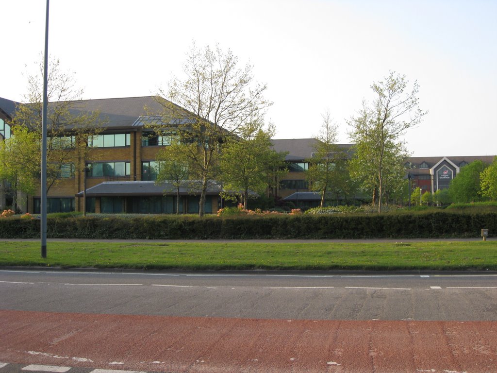 Crawley 19