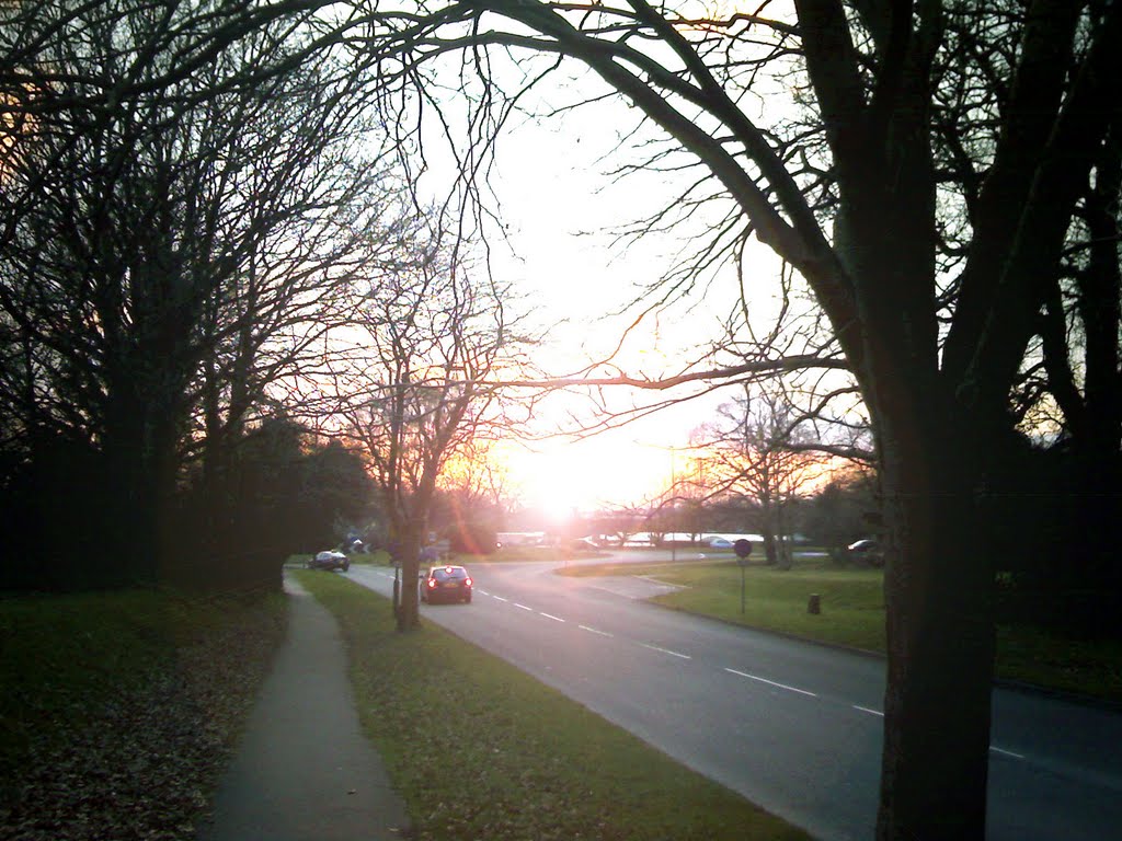 Cheals Roundabout
