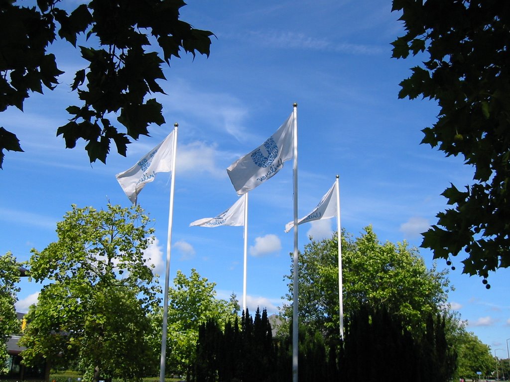 Unilever UK Ltd., Crawley, flags