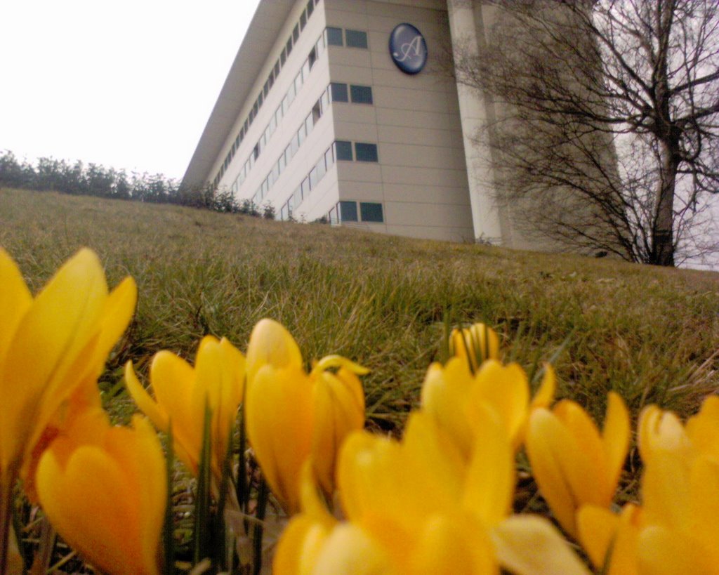 Hotel Arora, Crawley