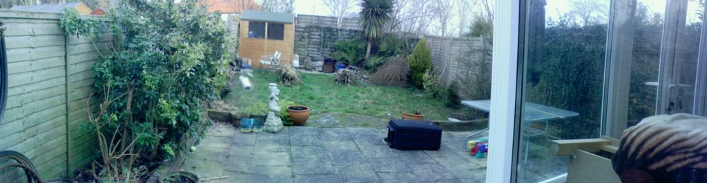 Dedisham close 20 (garden)