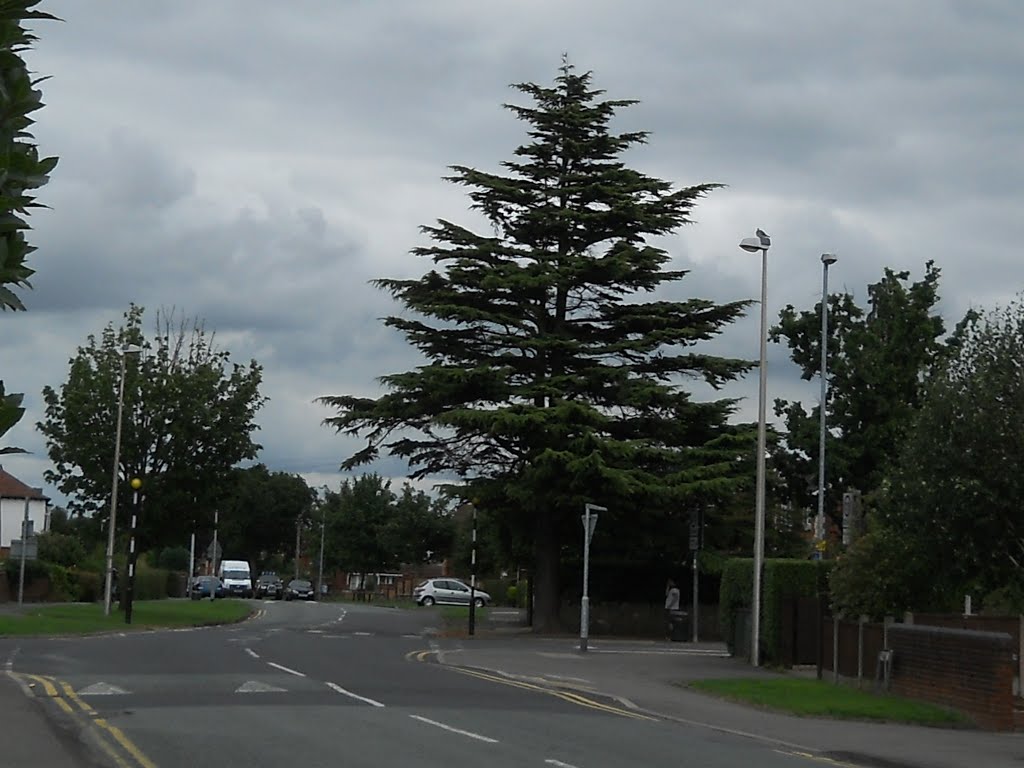 VALLEY ROAD