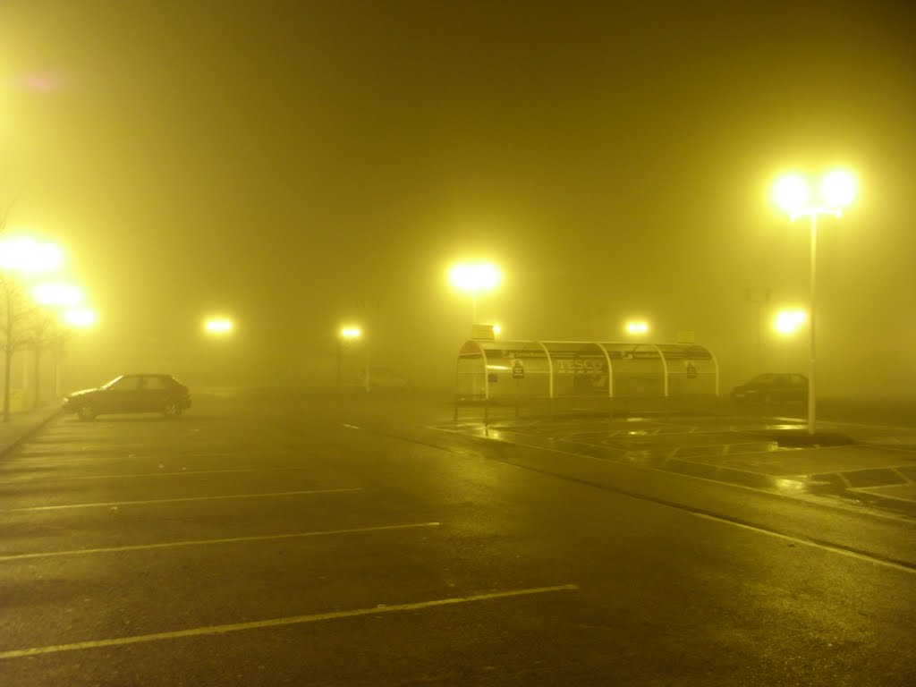 Misty winters night