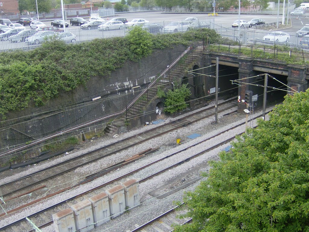 Tunnels.