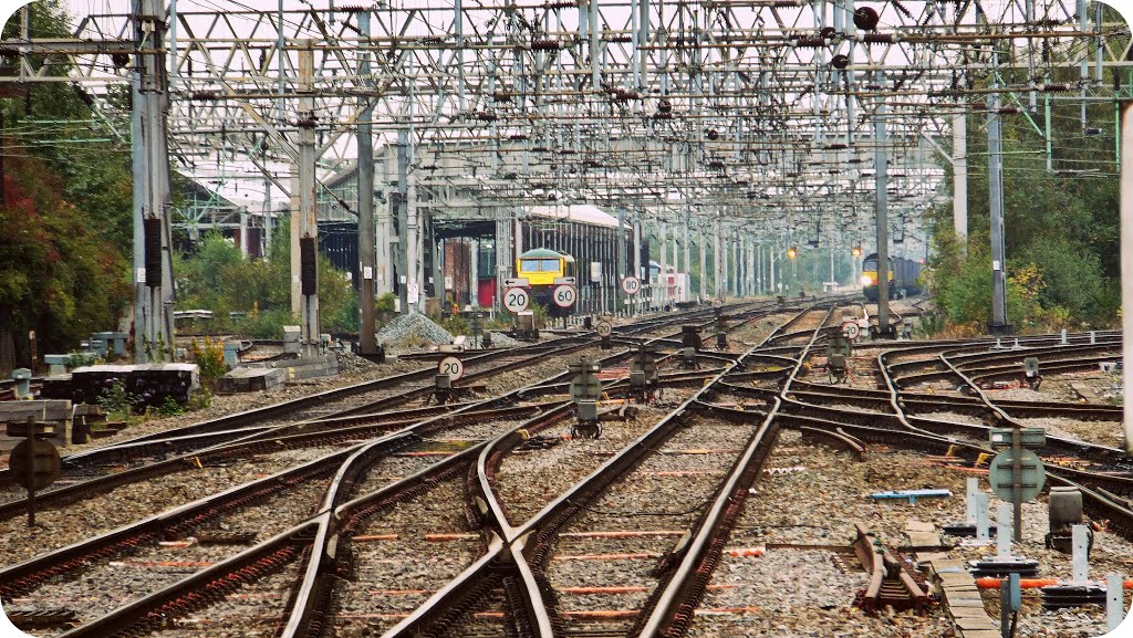 Lines from Crewe