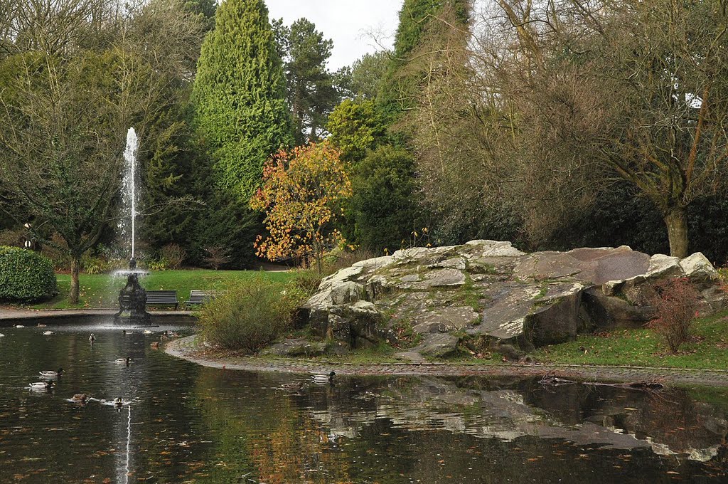 Fountain and Rockery ¬