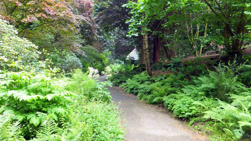 In Williamson Park