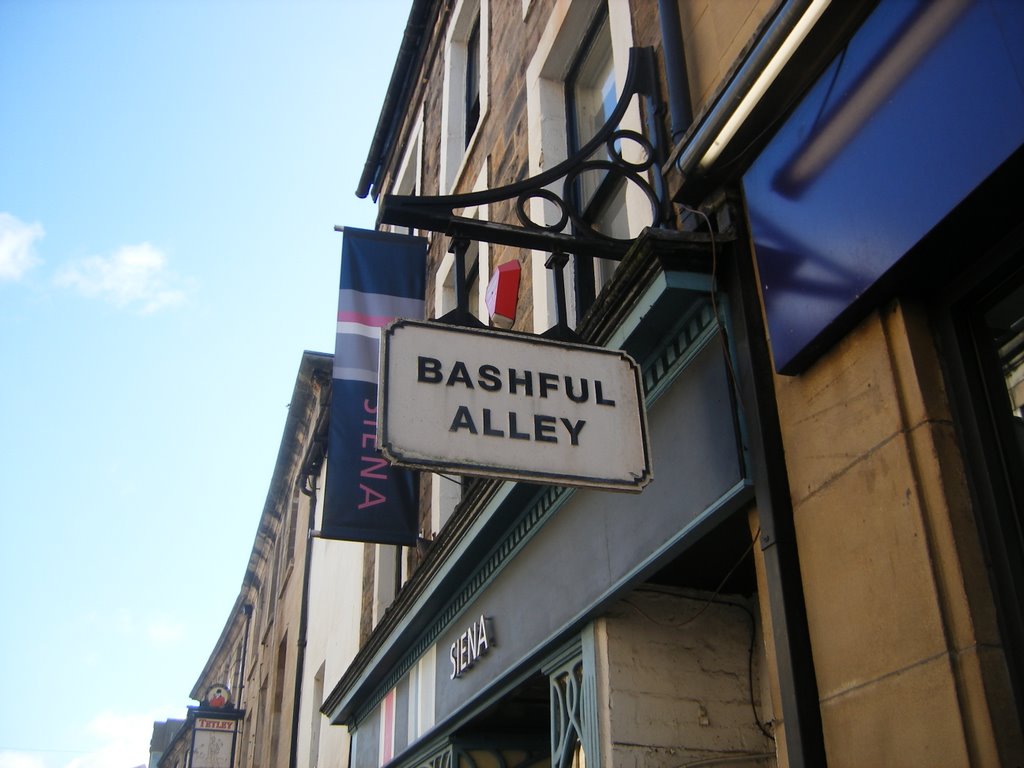 Bashful Alley