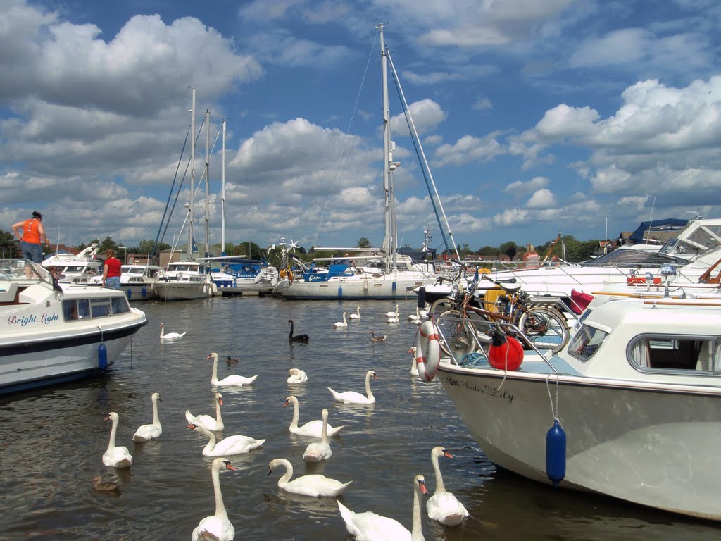 Oulton Broad Lowestoft Suffolk