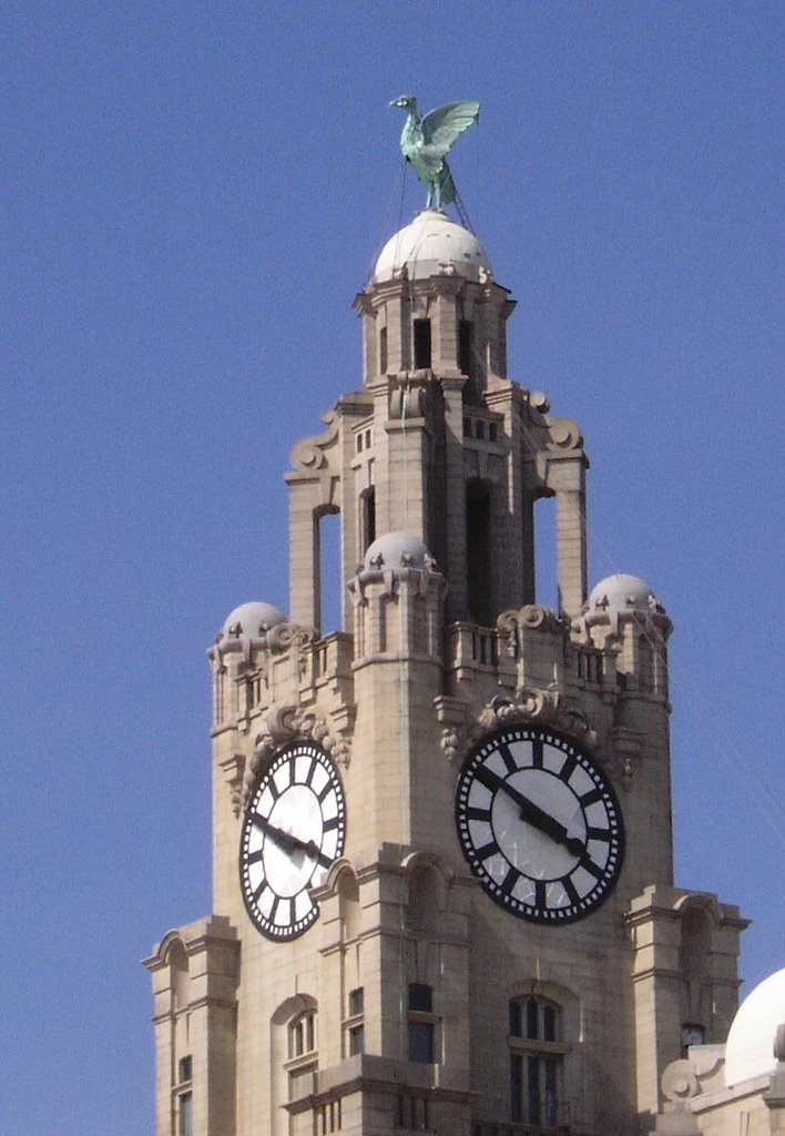 The Real Liverbird