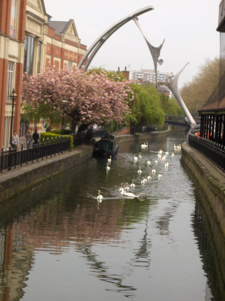Sculpture & Swans, Lincoln