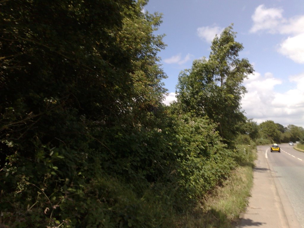North Along Randalls Road