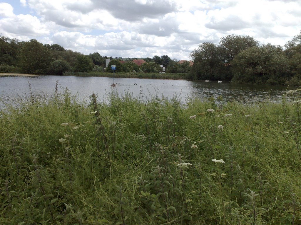 Fetcham Mill Pond