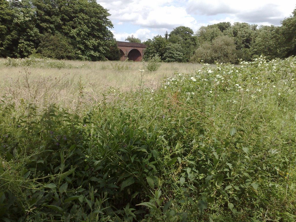 Railway Bridge over River Mole