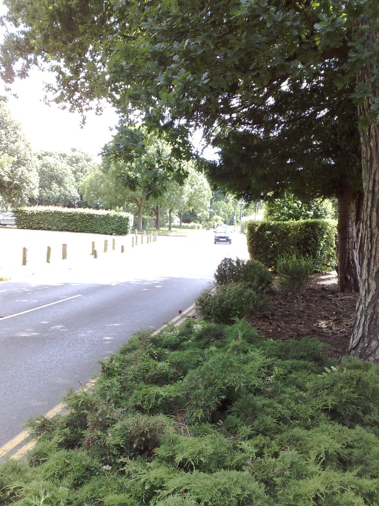 Driveway up to Leatherhead Leisure Centre