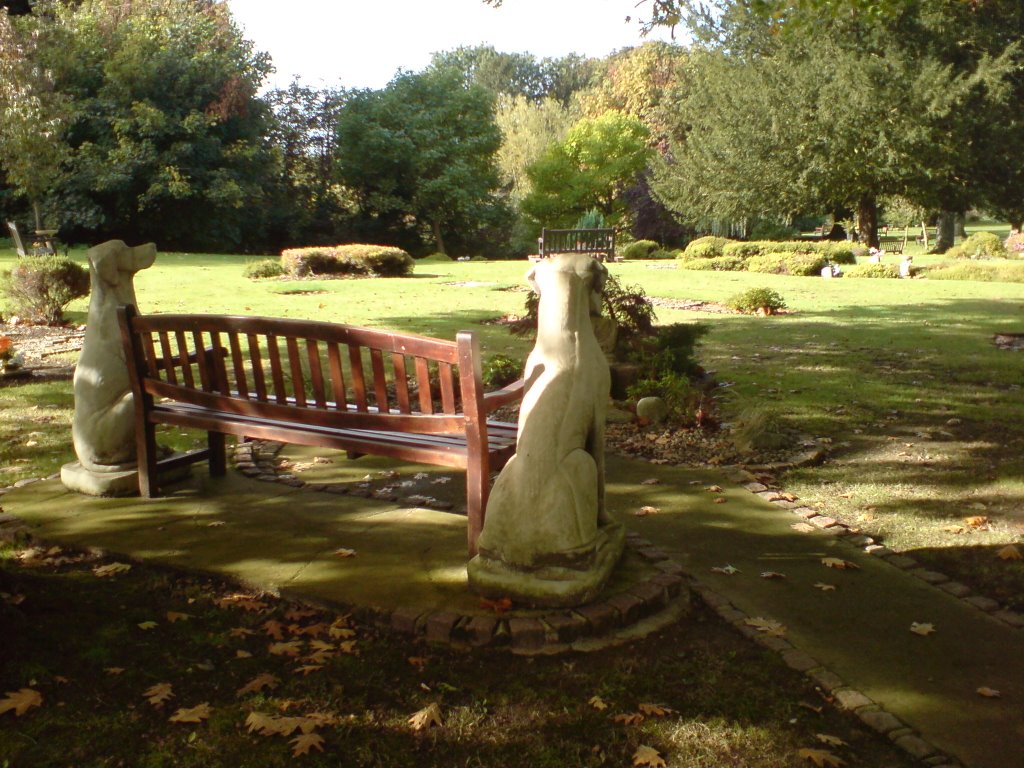 Bench, Randalls Park