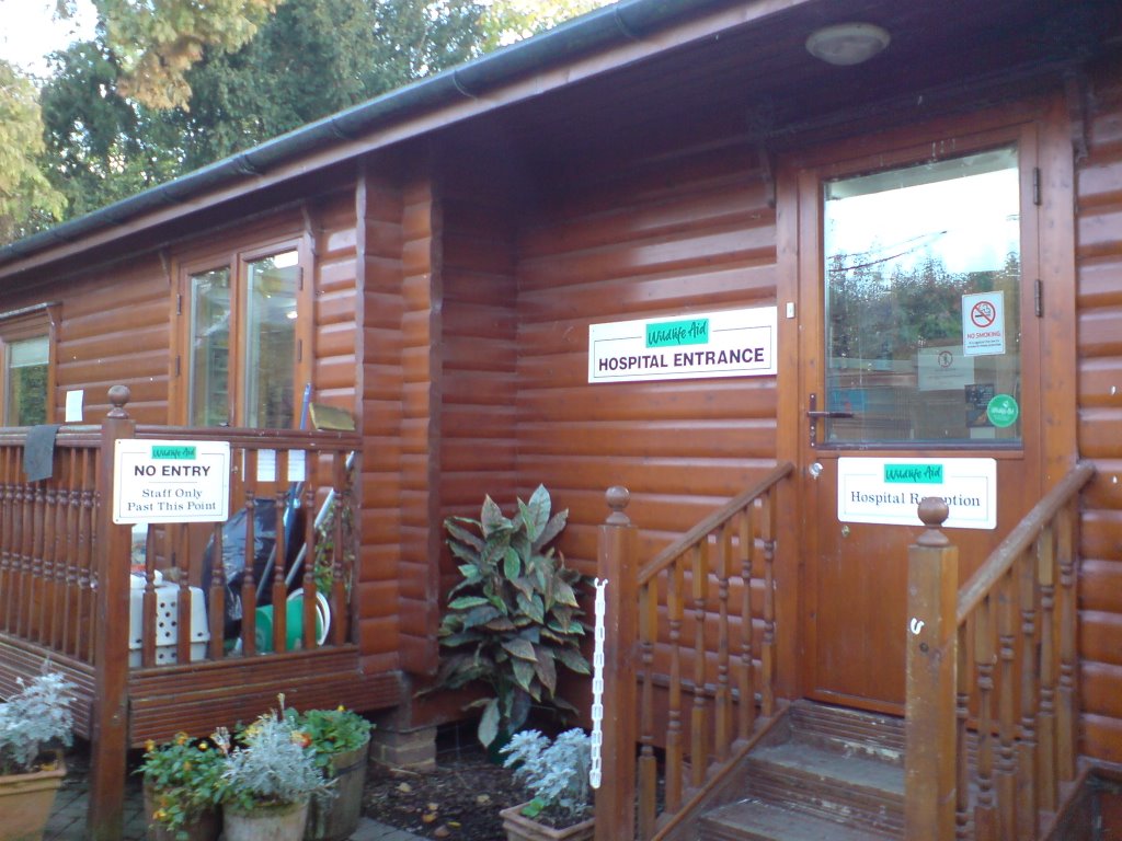 Wildlefe SOS, leatherhead